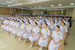 Resize-260