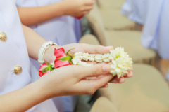 Resize-397