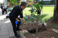 LINE_ALBUM_140569-Green-and-Grow_260514_11
