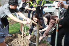 LINE_ALBUM_140569-Green-and-Grow_260514_2