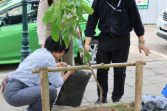 LINE_ALBUM_140569-Green-and-Grow_260514_27