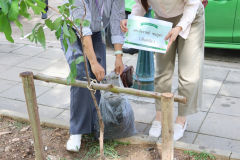 LINE_ALBUM_140569-Green-and-Grow_260514_29