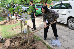 LINE_ALBUM_140569-Green-and-Grow_260514_30