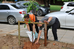 LINE_ALBUM_140569-Green-and-Grow_260514_37