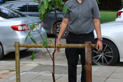 LINE_ALBUM_140569-Green-and-Grow_260514_38