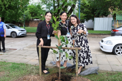 LINE_ALBUM_140569-Green-and-Grow_260514_44