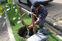 LINE_ALBUM_140569-Green-and-Grow_260514_46