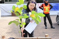 LINE_ALBUM_140569-Green-and-Grow_260514_47