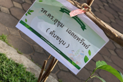LINE_ALBUM_140569-Green-and-Grow_260514_49