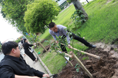 LINE_ALBUM_140569-Green-and-Grow_260514_6