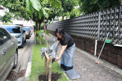 LINE_ALBUM_140569-Green-and-Grow_260514_8