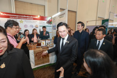Resize-138