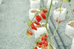 Resize13726-92
