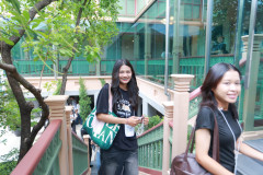 SDU1ST-164