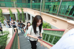 SDU1ST-167