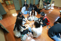 SDU1ST-210