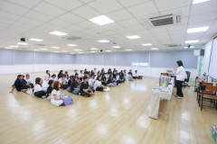 SDU1ST-291