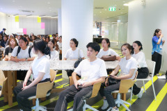 SDU1ST-300