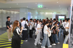 SDU1ST-331