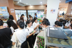 SDU1ST-370
