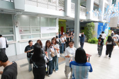 SDU1ST-384