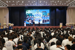 SDU1ST-81