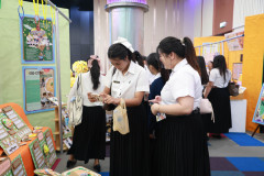 Photo-23