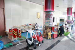 Photo-8