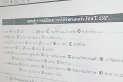 P_P03474
