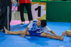 25690808-4B8A5442