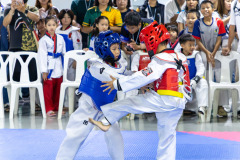 25690808-4B8A5742