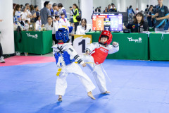 25690808-4B8A5835