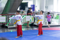 25690808-4B8A5854