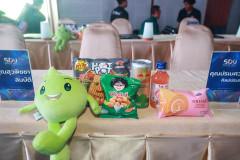 Photo-19