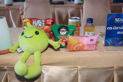 Photo-21