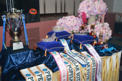 Photo-6
