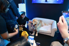 Resize-43