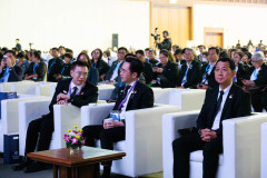 PHOTO-17