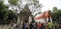 ศูนย์พัฒนาทุนมนุษย์ จัดอบรมหลักสูตรมัคคุเทศก์ทั่วไป(ต่างประเทศ) รุ่นที่6