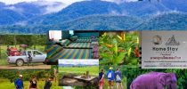 งาน  Wellness Tourism @ กุยบุรี จังหวัดประจวบคีรีขันธ์