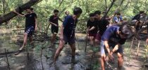 โรงเรียนการเรือน จัดโครงการจิตอาสาปลูกป่าชายเลนอนุรักษ์สิ่งแวดล้อม ณ ป่าชายเลนคลองโคน