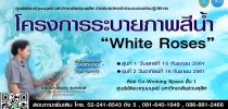 ศูนย์พัฒนาทุนมนุษย์ มหาวิทยาลัยสวนดุสิต จัดโครงการระบายภาพสีน้า “White Roses”