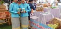มหาวิทยาลัยสวนดุสิต ศูนย์การศึกษานอกที่ตั้ง นครนายก ร่วมงานเทศกาลกินข้าว กินปลา@นครนายก