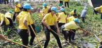 วิทยาเขตสุพรรณบุรี เข้าร่วมโครงการจิตอาสาหน่วยพระราชทานและประชาชนจิตอาสา เราทำดีด้วยหัวใจ โครงการจิตอาสากำจัดผักตบชวาพัฒนาคลองสองพี่น้อง