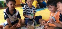 โรงเรียนสาธิตละอออุทิศ สุพรรณบุรี ร่วมกับ สำนักบริหารกลยุทธ์ มสด. จัดโครงการ Suan Dusit Summer Camp 2019 Theme 3 : Take Action  (วันที่ 7 พ.ค. 62)