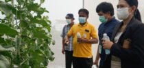การอบรมเชิงปฏิบัติการ ครั้งที่ 4 ให้กับเครือข่ายเกษตรกรฯ เรื่อง เทคนิคการเพิ่มคุณภาพเมลอนก่อนเก็บเกี่ยว
