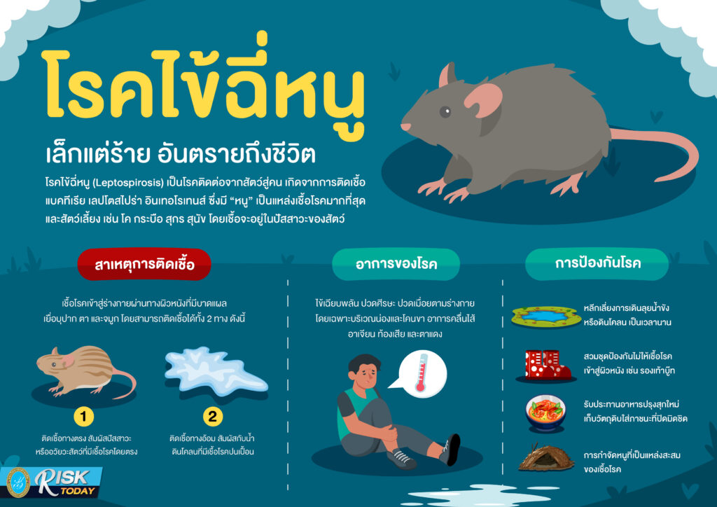 โรคไข้ฉี่หนู