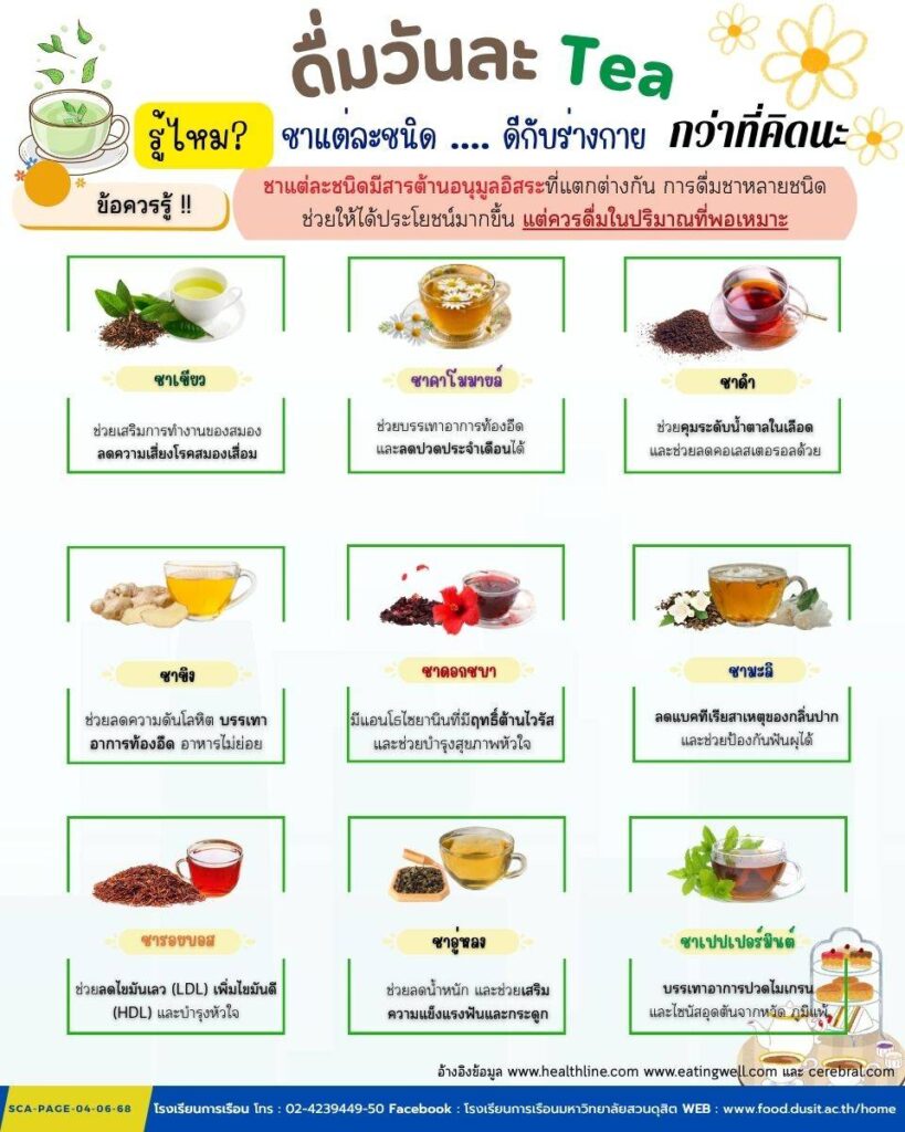 ดื่มวันละ TEA รู้ไหม ชาแต่ละชนิด ดีกับร่างกายกว่าที่คิดนะ