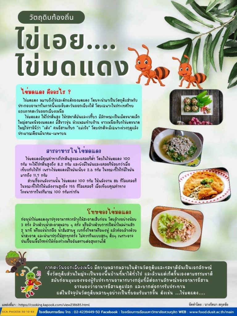 ไข่เอย…ไข่มดแดง