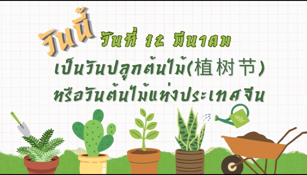 12 มีนาคม- วันปลูกต้นไม้แห่งชาติจีน